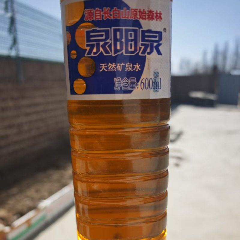 饲料油