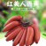 海南红美人香蕉，红香蕉全国批发