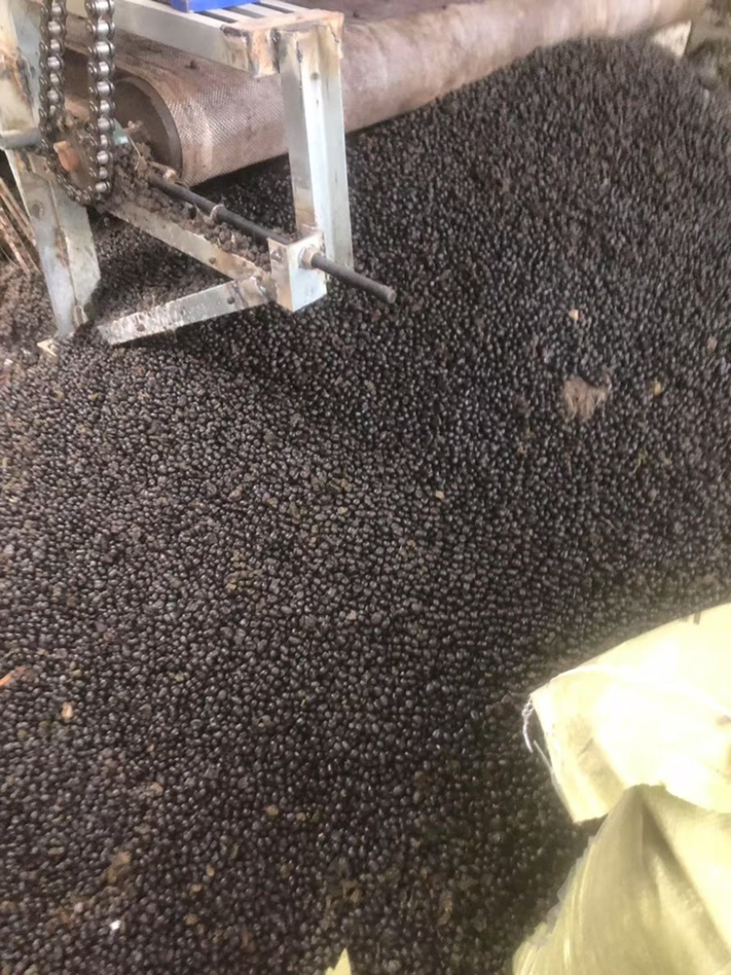 优质发酵有机羊粪