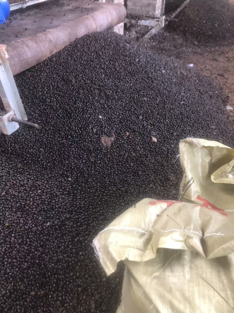 优质发酵有机羊粪