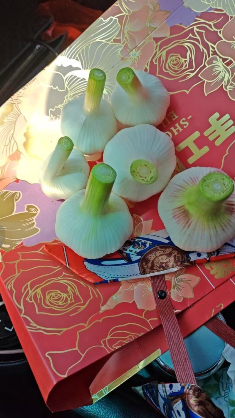 【自家种植-价格可协商】金乡大蒜紫皮蒜品质保障