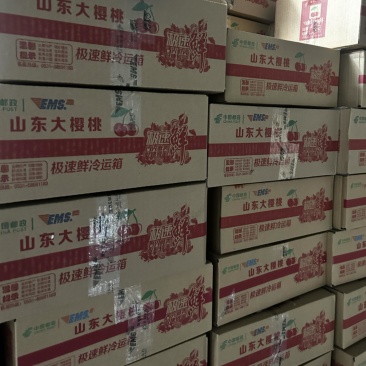 山东大樱桃【一键代发】车厘子，品种齐全，价格美丽