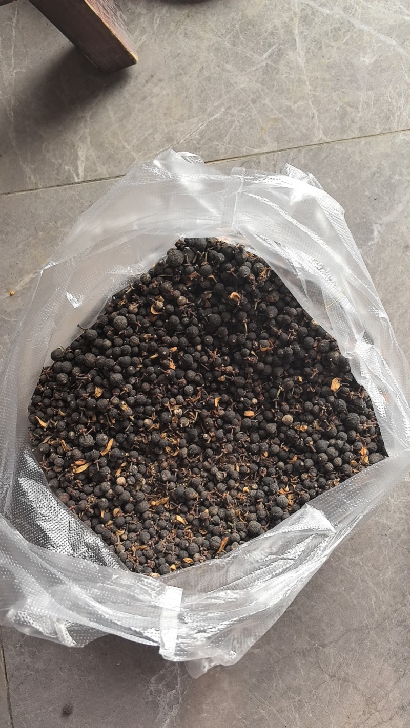 枳实中药材小果大量有货