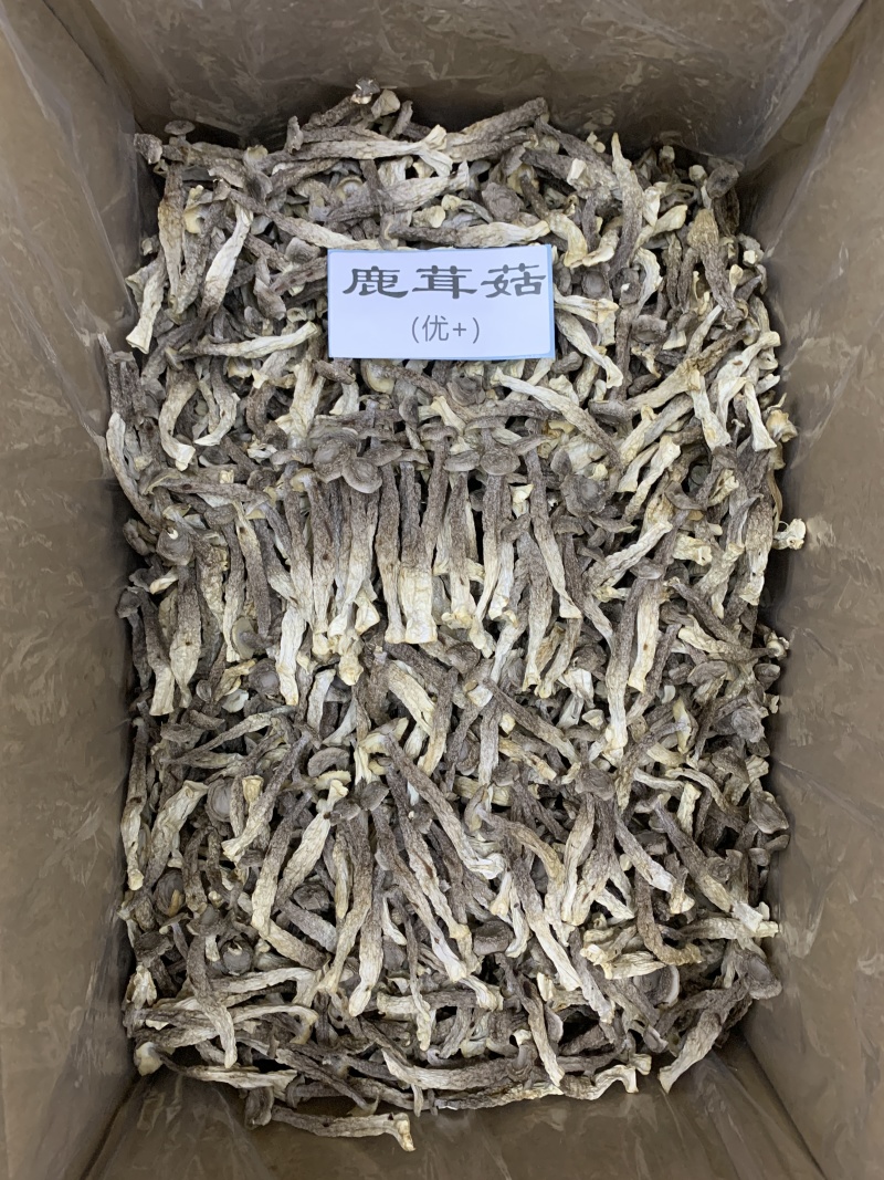 鹿茸菇干货产地直销批发浓香切根脆脆菇精选菌菇蘑菇食用菌