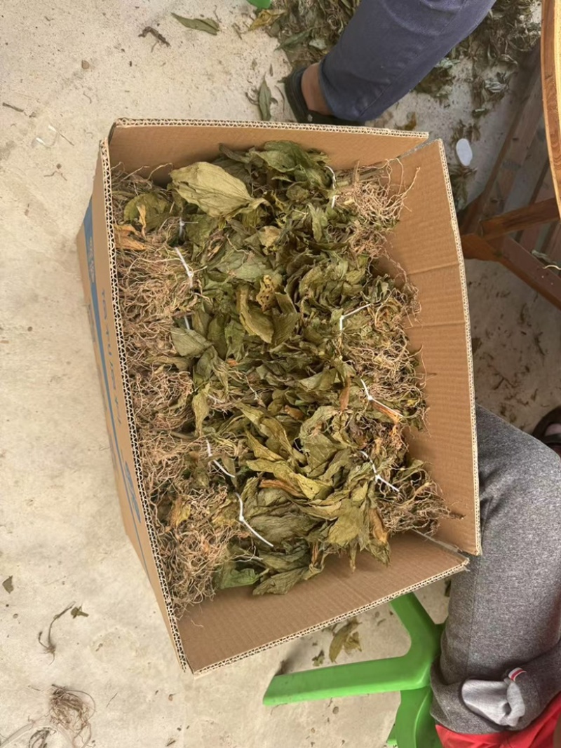 见血清中药材见血清见血青干货见血清鲜货齐全