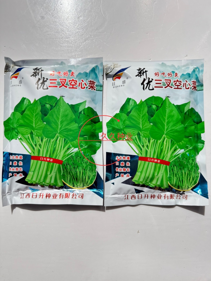 原装新优三叉空心菜种子生长快速产量高适应性广四季蔬菜