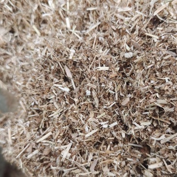 牛羊豆秸粉碎草料