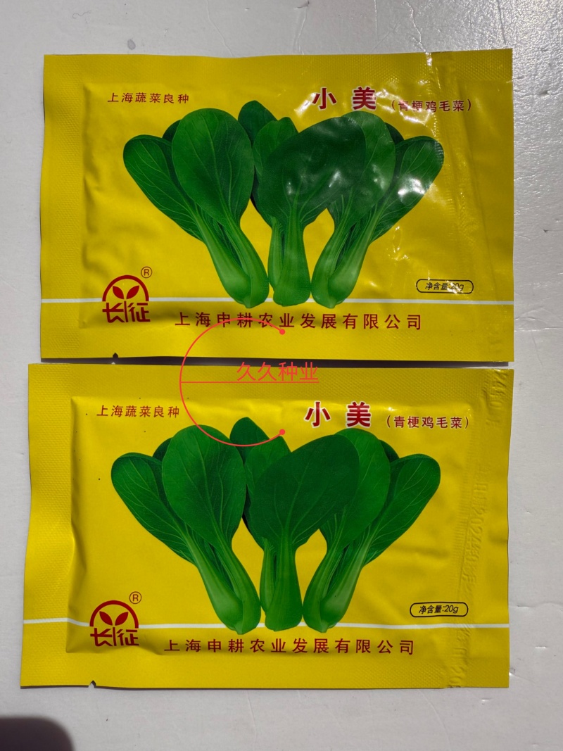 小美鸡毛菜种子上海青梗鸡毛菜种籽速生小油菜四季阳台小青菜