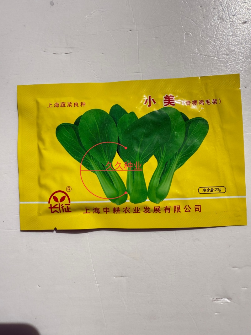 小美鸡毛菜种子上海青梗鸡毛菜种籽速生小油菜四季阳台小青菜