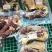 贵州黄牛肉批发，一斤也是批发黄膘，全国各发货，每天现屠宰