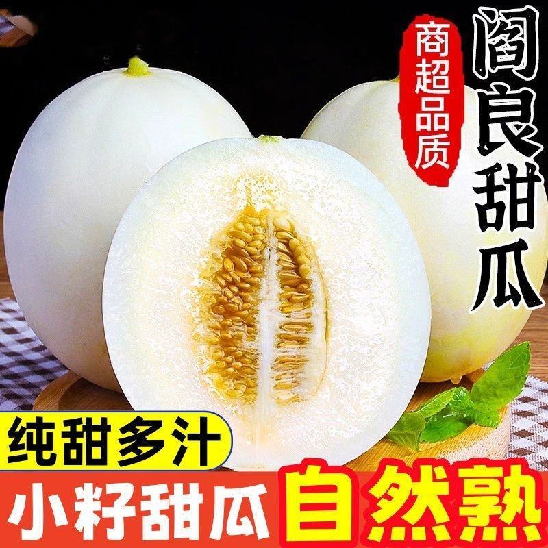 现货速发陕西阎良甜瓜新鲜应季采摘发货整箱包邮