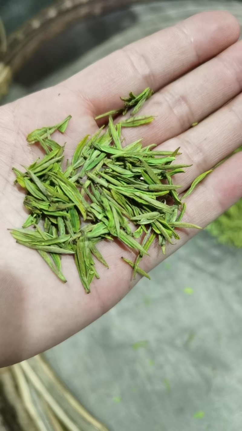 安吉白茶