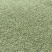 猫爪草种子