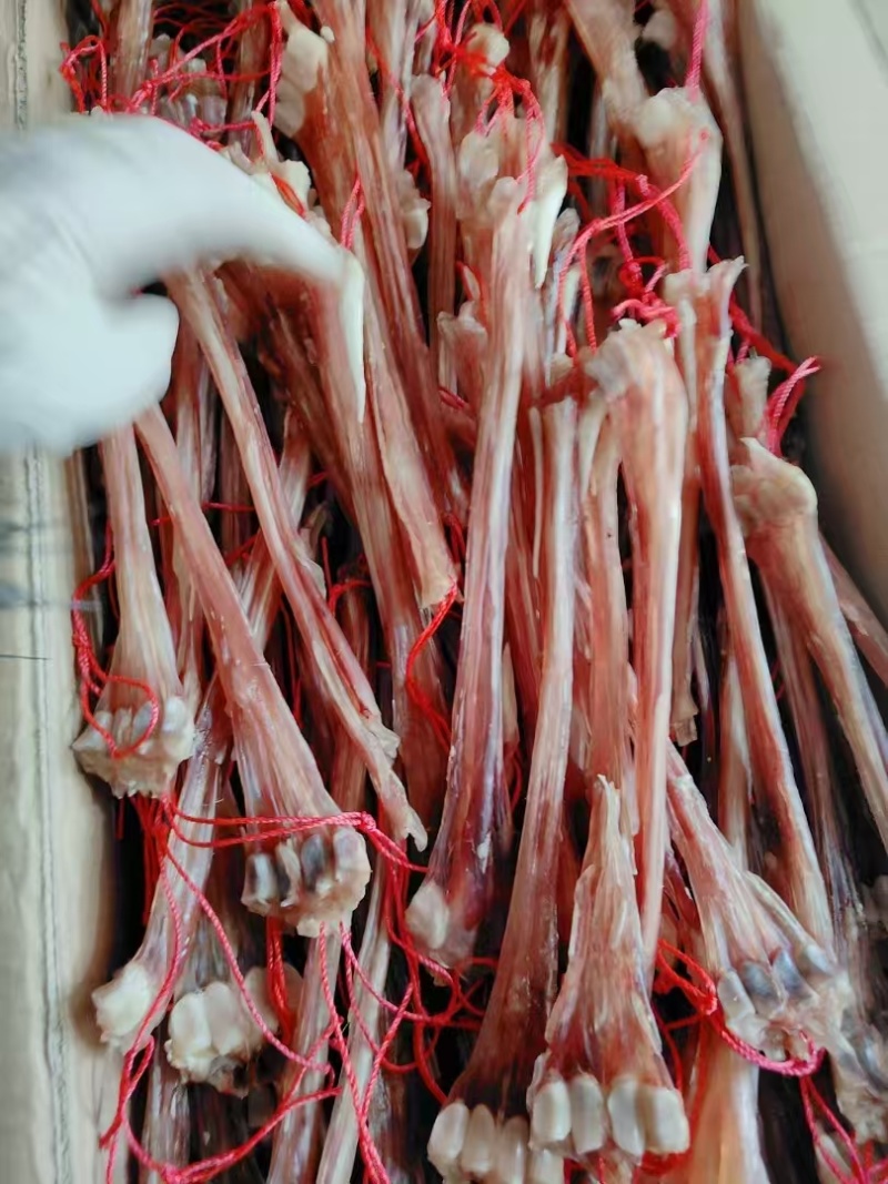 鲜鹿筋干鹿筋纯干不带蹄子带四趾骨净筋一斤正品真品包邮