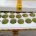 绿色食品罗汉果鲜果