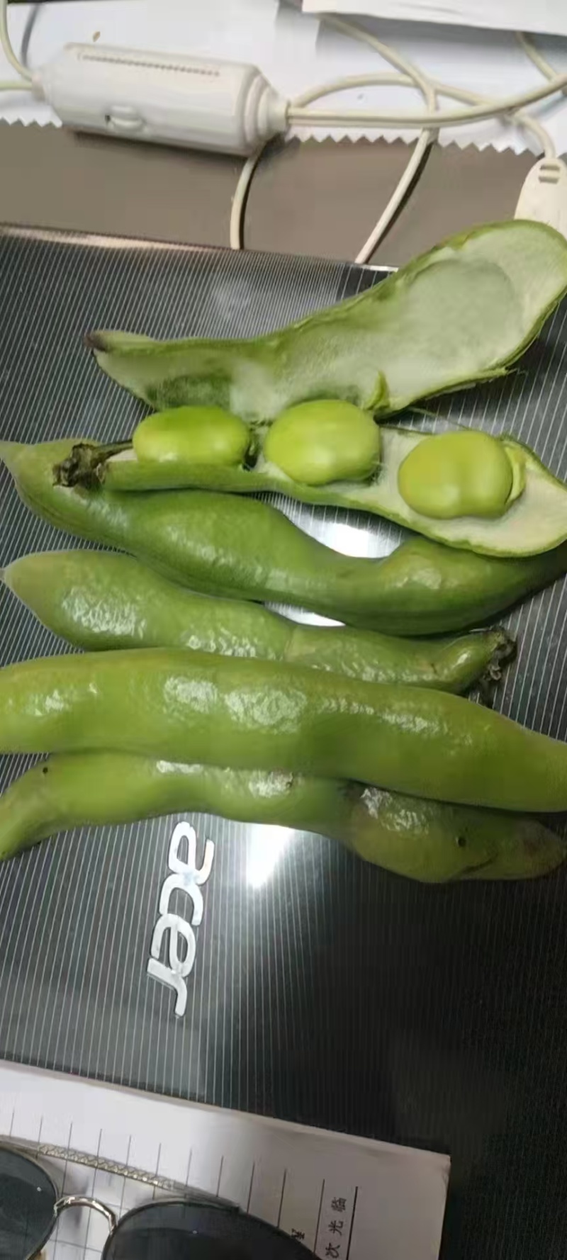 大蚕豆产地直销颗粒饱满颜色鲜亮诚信交易