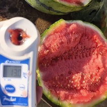 美都西瓜产地，保质保量，货源充足，产地直发，一条龙服务