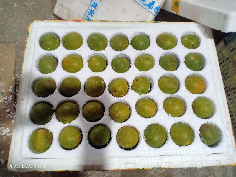 绿色食品生鲜罗汉果