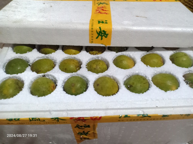 绿色食品生鲜罗汉果