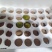 绿色食品生鲜罗汉果