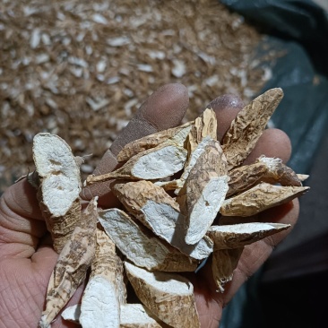 广东无硫干片