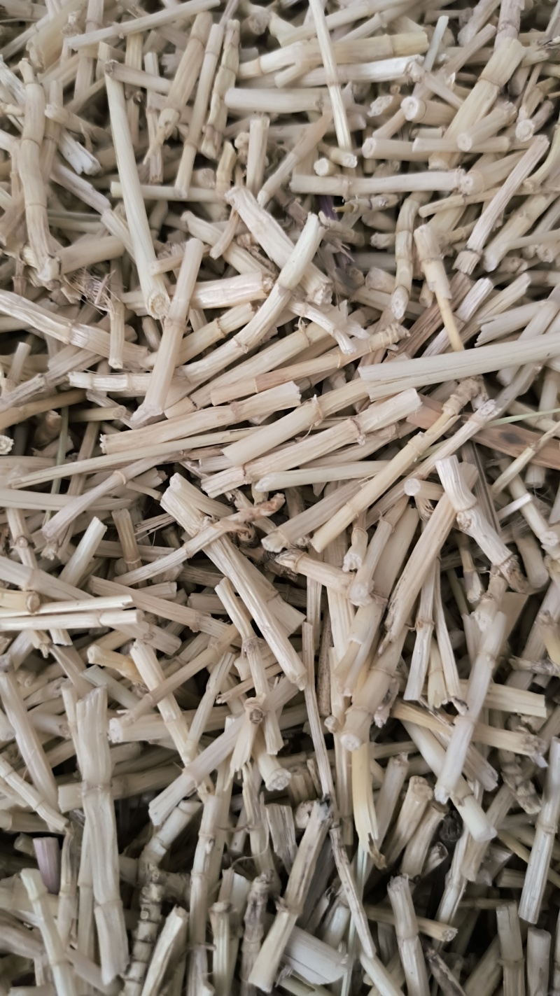 白茅根毛根批发各种规格中药材质量保证量大从优