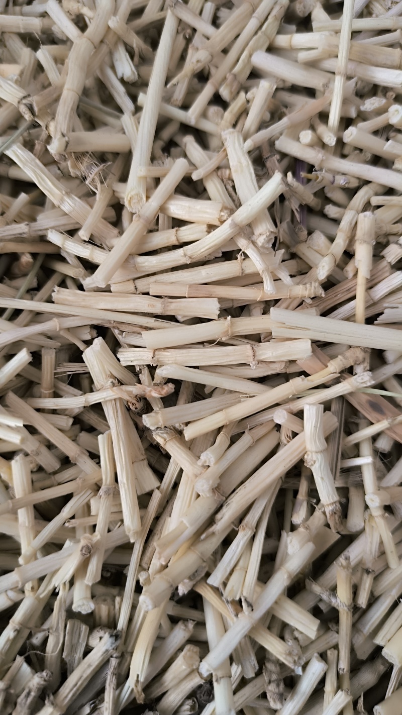 白茅根毛根批发各种规格中药材质量保证量大从优