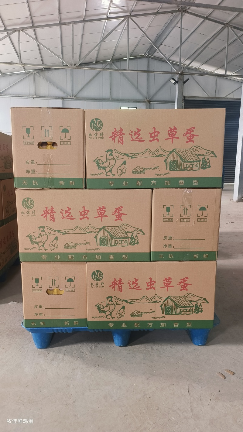 精品新农三，保无抗无破净重34斤左右双色到位农场直发