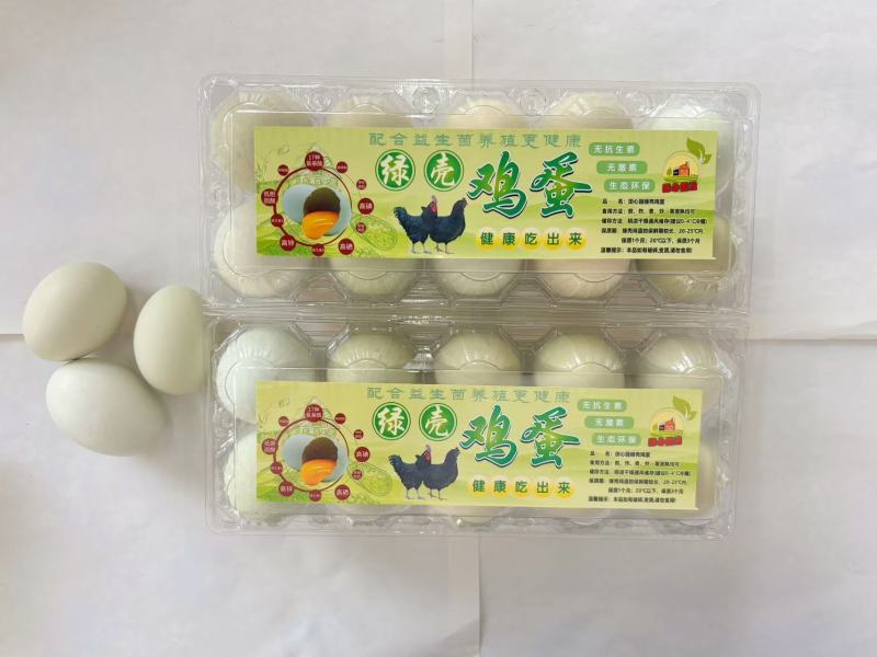 益生菌配合饲养，五黑鸡绿壳蛋