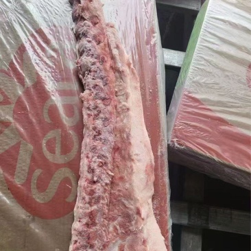 猪龙骨