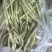 【精品】白不老芸豆大量上市价格优惠货源充足欢迎咨询