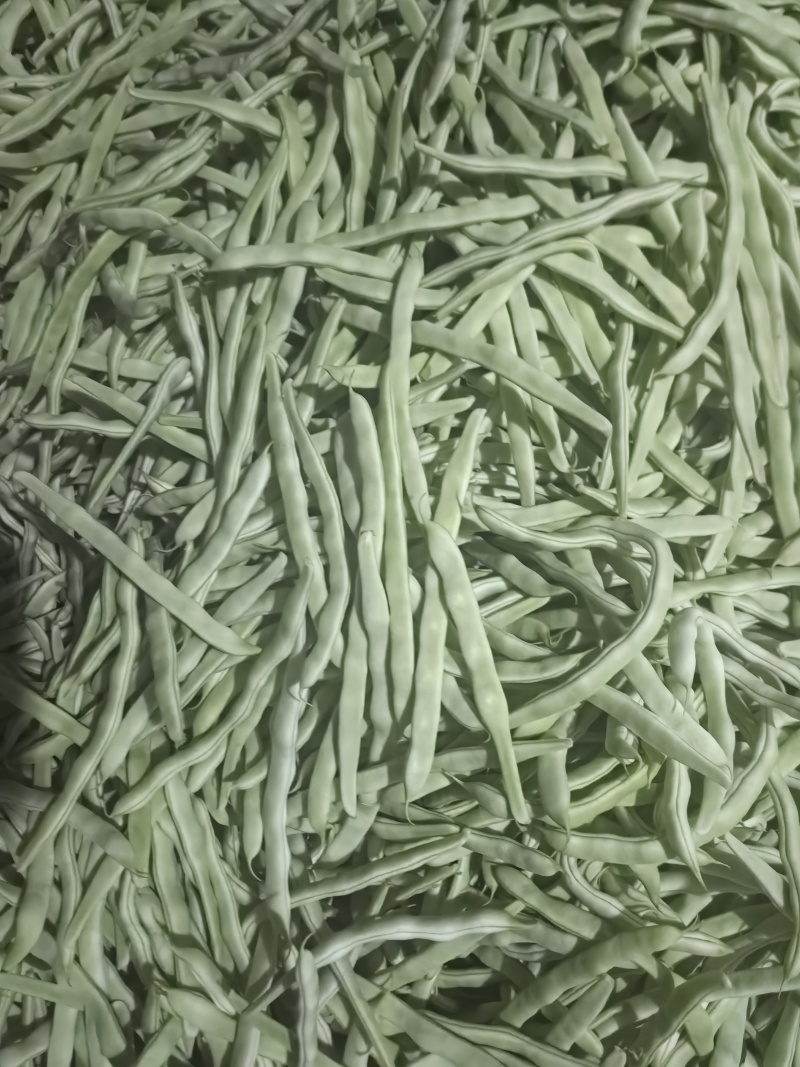 【精品】白不老芸豆大量上市价格优惠货源充足欢迎咨询