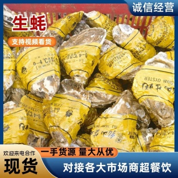 【乳山生蚝】产地直发，流通上2三倍体，中薄