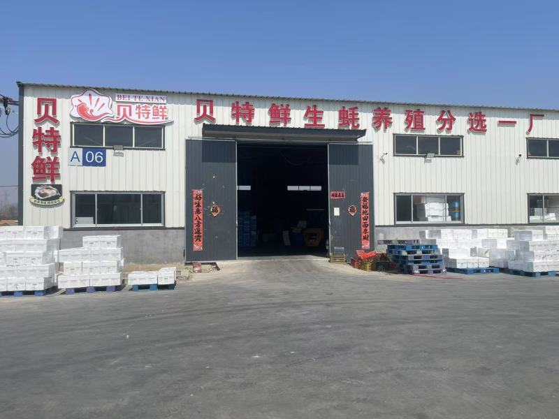【乳山生蚝】产地直发，流通上2三倍体，中薄