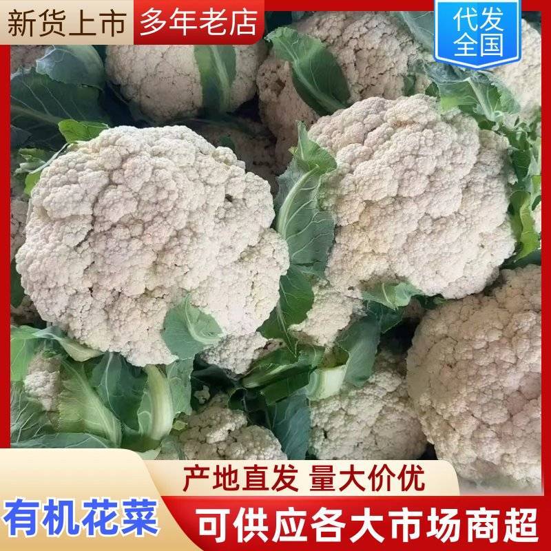 有机菜花，精品有机菜花，产地直发，保质保量，可发全国