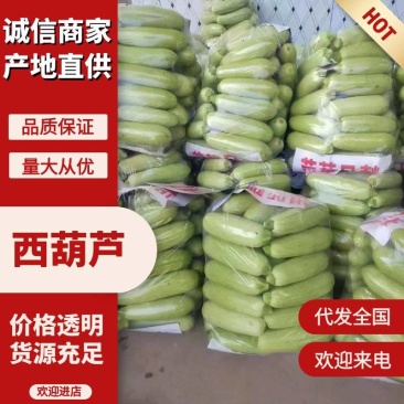西葫芦，精选小瓜，对接全国市场，超市，电商，保质保量。