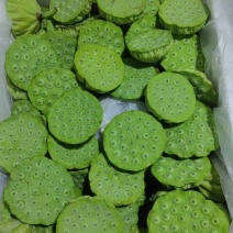 今年新出水果莲蓬全国可发，嫩莲蓬，鲜莲蓬