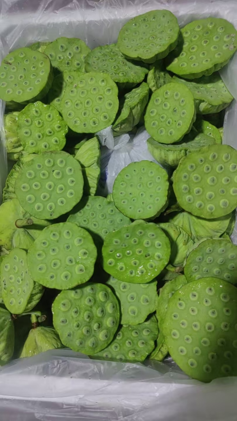 今年新出新鲜水果莲蓬，基地大量直供，北京上海直供发货嫩莲