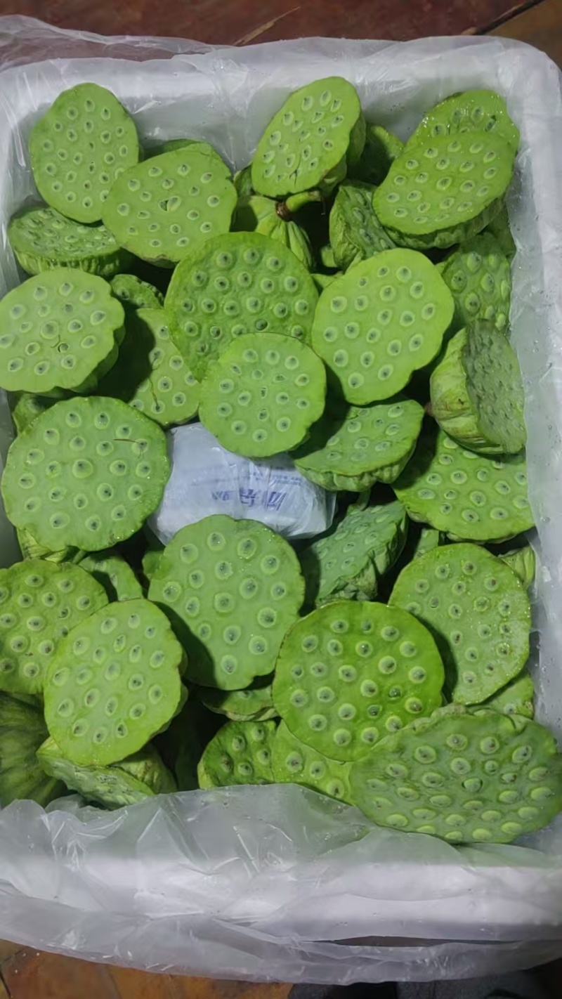 今年新出新鲜水果莲蓬，基地大量直供，北京上海直供发货嫩莲