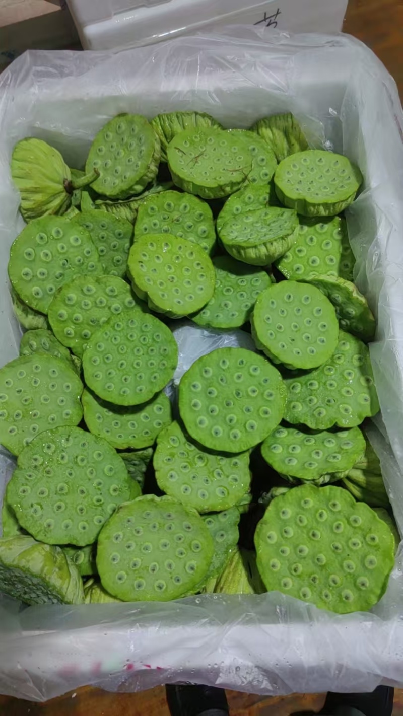 今年新出新鲜水果莲蓬，基地大量直供，北京上海直供发货嫩莲
