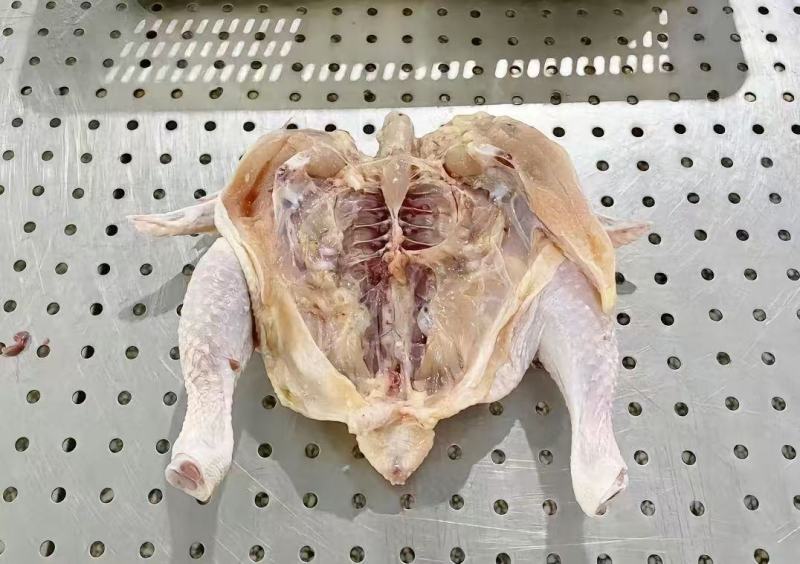 西装鸡