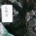 龙眼肉