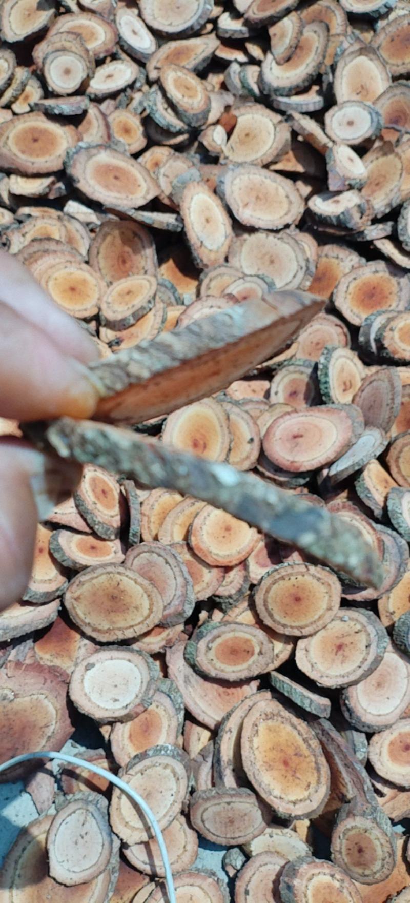 云南普洱海风䕨一手货源诚信合作量大从优欢迎来电