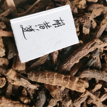 胡黄连
