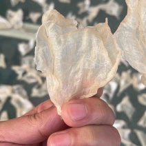 国产自晒白花鸡蛋胶无苦无油足干批发可对接加工厂商超市场