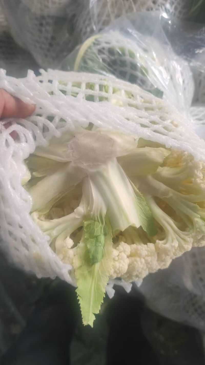 菜花，有机菜花，有机花，有机菜花，大棚有机花，鲜花