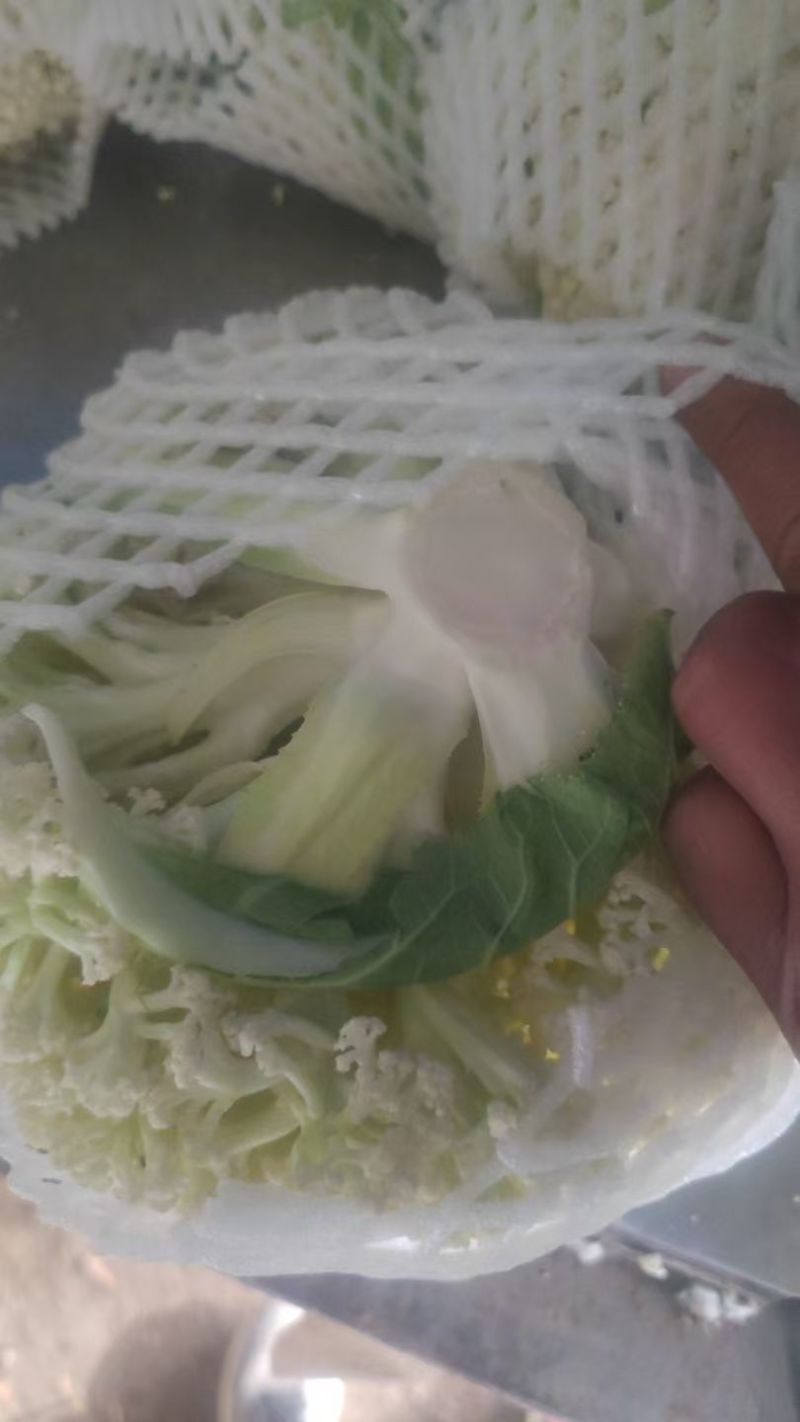 菜花，有机菜花，有机花，有机菜花，大棚有机花，鲜花
