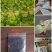精品赤苍藤皮、赤苍藤粉、煲汤、泡茶**