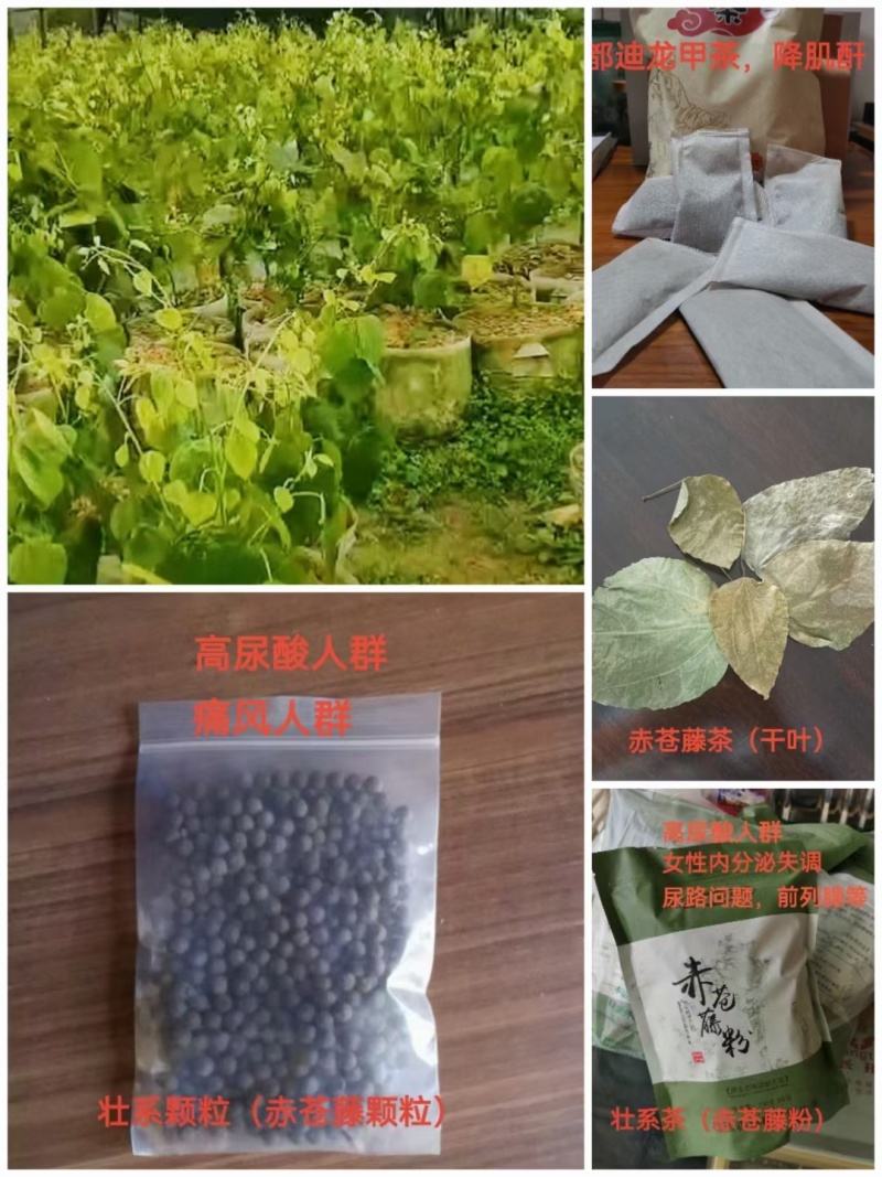 精品赤苍藤皮、赤苍藤粉、煲汤、泡茶**