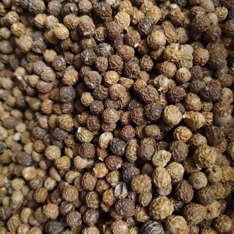 梧桐子散装中药材正品新货梧桐子梧桐籽瓢儿果无硫